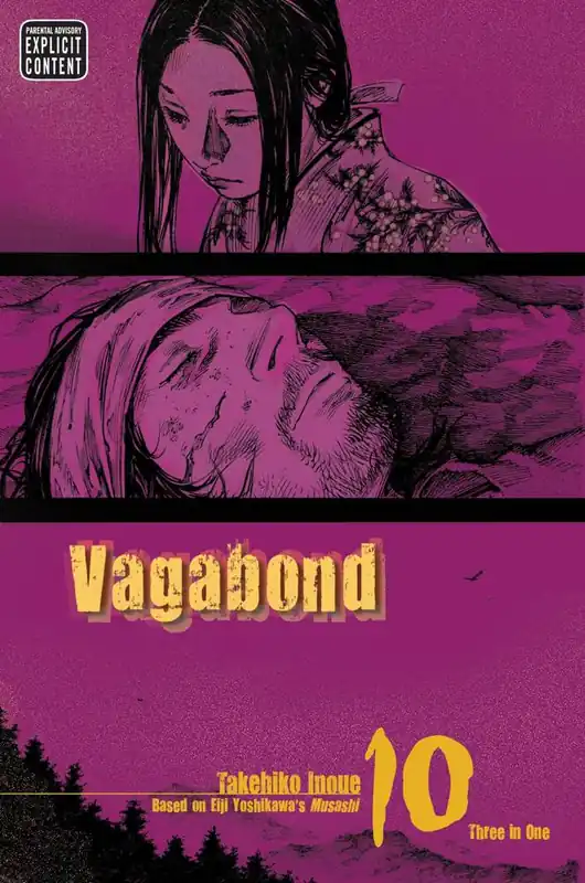 Gereduceerde Prijs Vagabond (VIZBIG Edition), Vol. 10