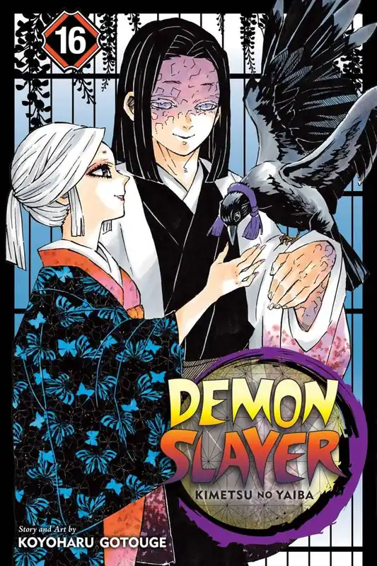 Koop Vandaag Demon Slayer: Kimetsu no Yaiba, Vol. 16