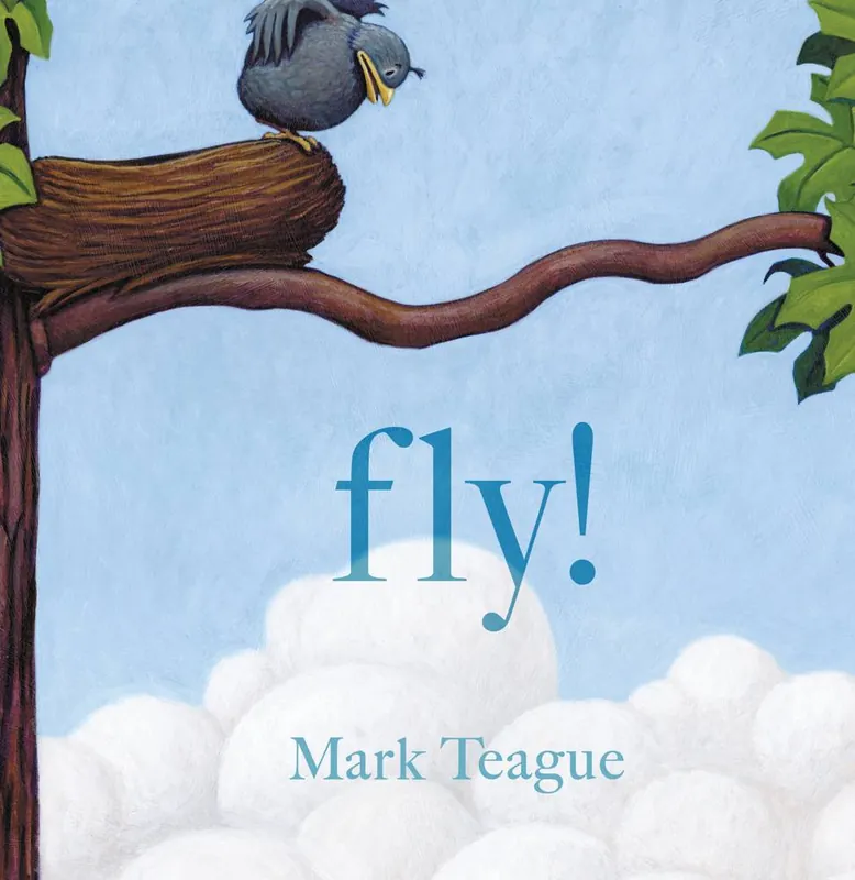 Betaalbaar Fly! / 1st Edition