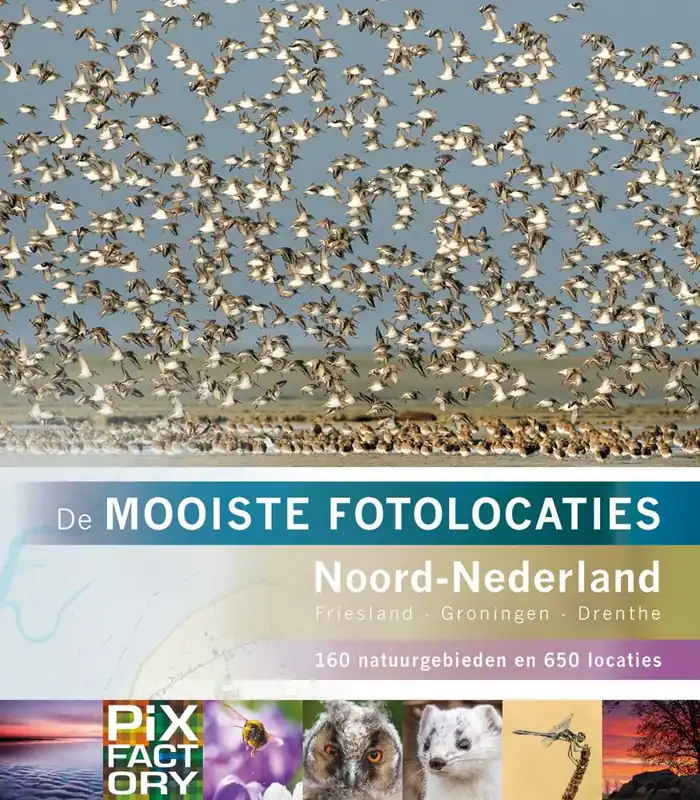 Bestseller Noord-Nederland / Druk 2