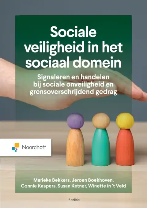 Premium Sociale veiligheid in het sociaal domein / Druk 1 (e-book)