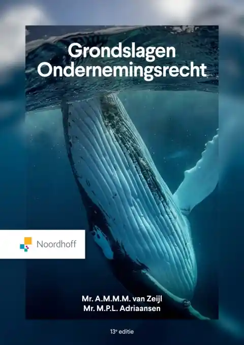 Uitverkoop Grondslagen Ondernemingsrecht / Druk 13 (e-book)