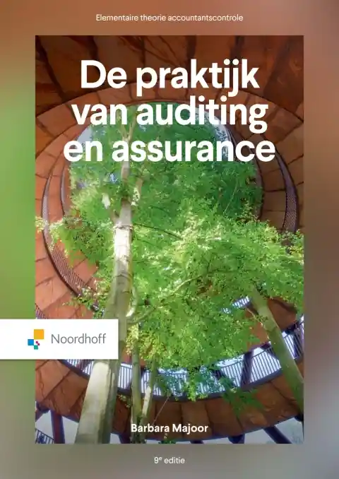 De praktijk van auditing en assurance / Druk 9 (e-book) Uitverkoop