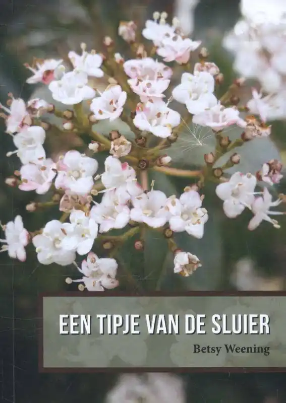 Een tipje van de sluier / Druk 1 Superprijs