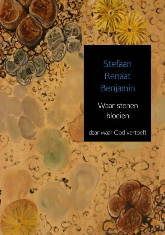 Beste Prijs Waar stenen bloeien / Druk 1