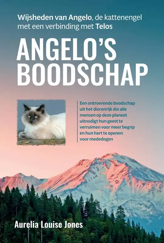 Express Levering Angelo’s boodschap / Druk 1