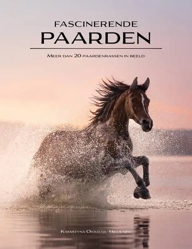 Lage Kosten Fascinerende paarden / Druk 1
