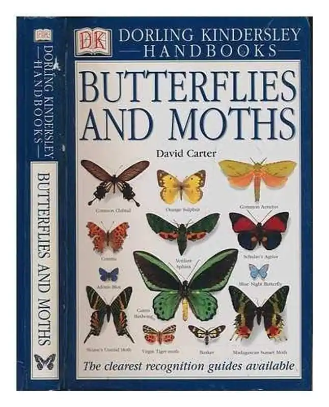 Butterflies and Moths - David (Senior Scientific Officer Carter Beperkt Aanbod