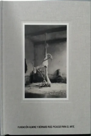 Voordeelprijs UN SOIR A BOISGELOUP L'ATELIER DE PABLO PICASSO - John Richardson
