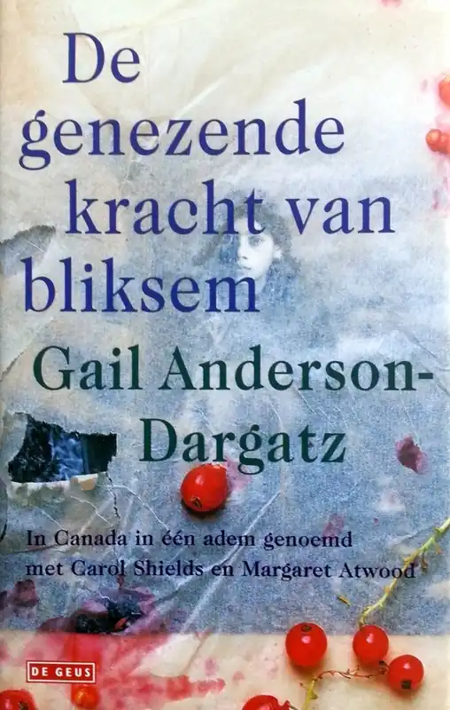 Snelle Levering De genezende kracht van bliksem - Gail Anderson-Dargatz