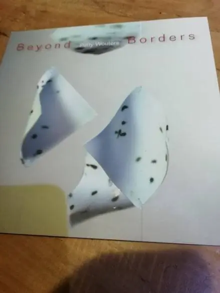 Beyond Borders - Patty Wouters Betrouwbaar