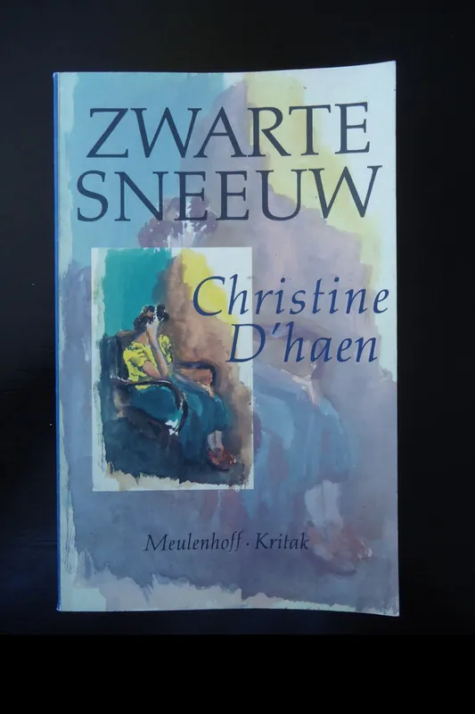 Zwarte sneeuw - Christine D'haen Gereduceerde Prijs