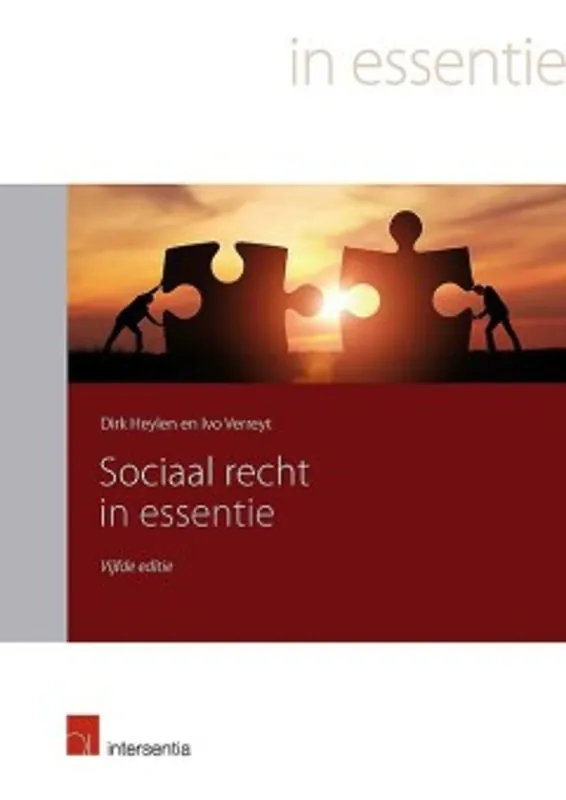 Sociaal recht in essentie - Dirk Heylen; Ivo Verreyt Hoge Kwaliteit